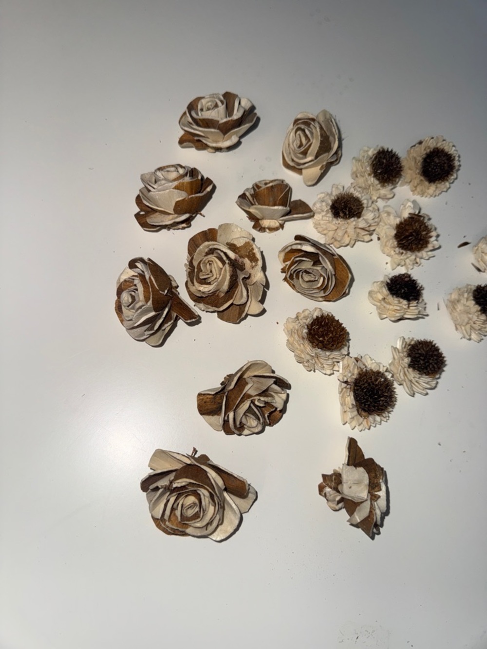 Sola Wood Flowers - Dried Wood Rose and Petite Bloom Mix - Neutral Tones - Picture 2 of 3